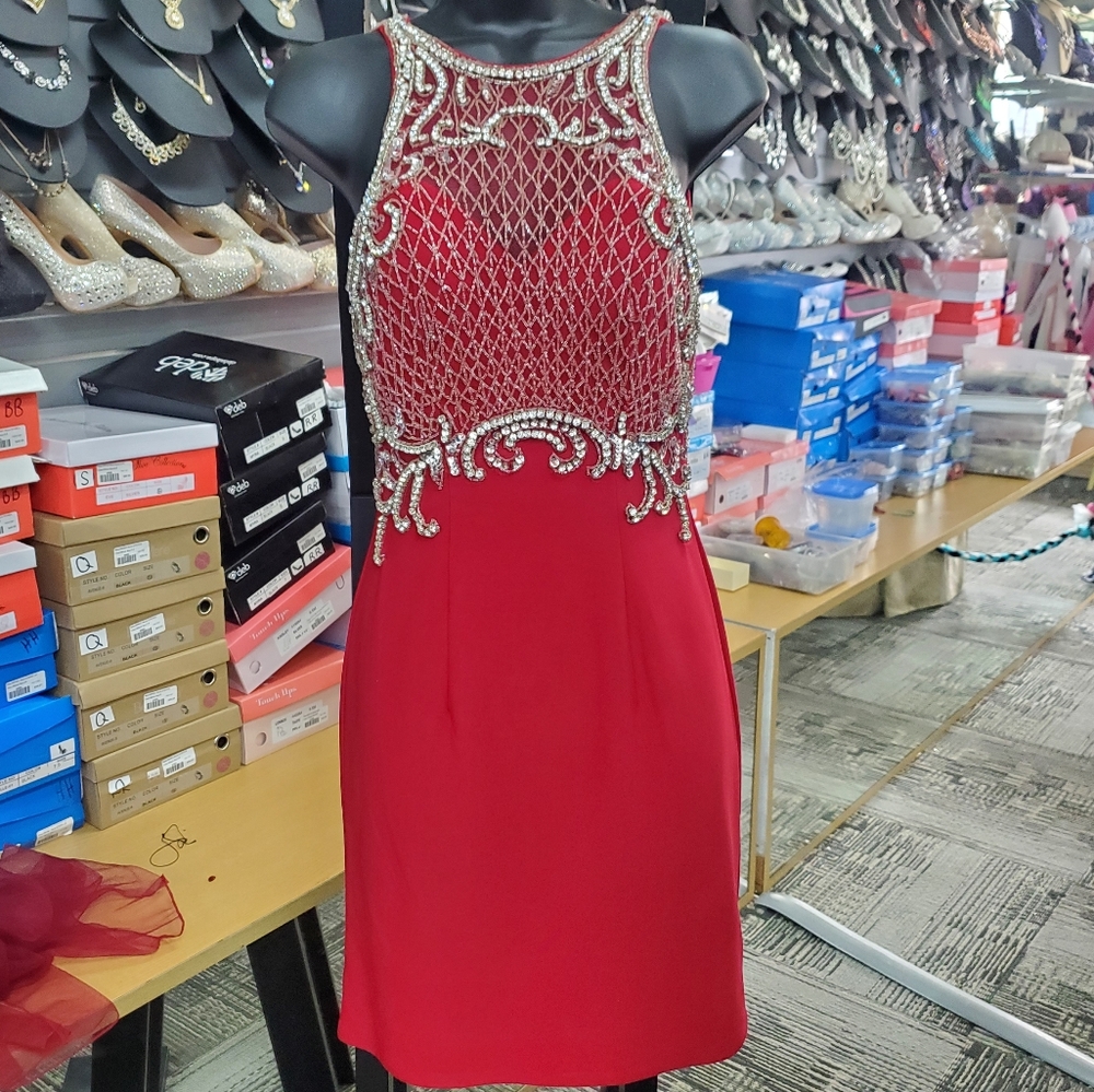 BLUSH RED SHORT STYLE DRESS